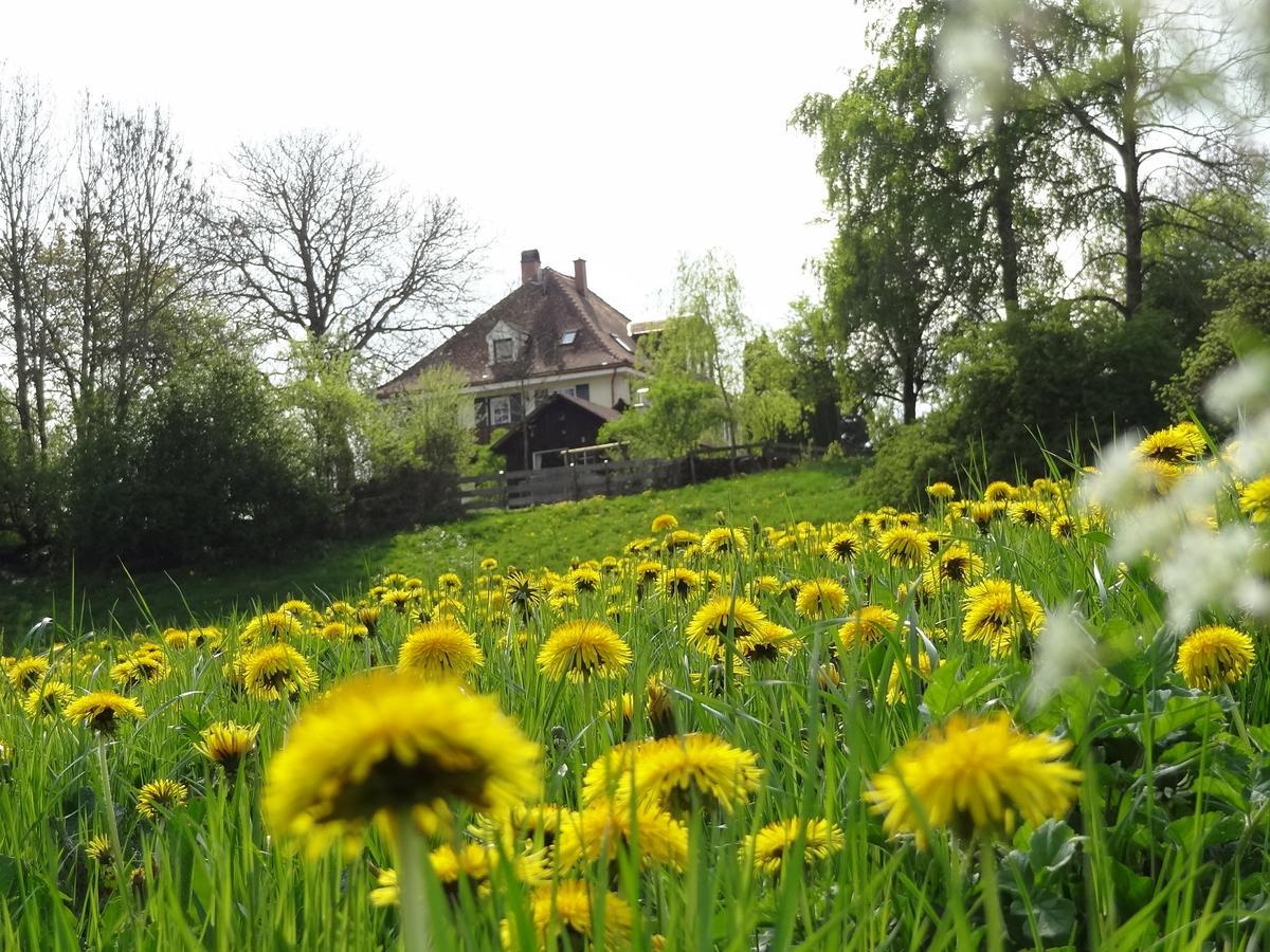 Landhaus Loewenzahn Unteregg Esterno foto