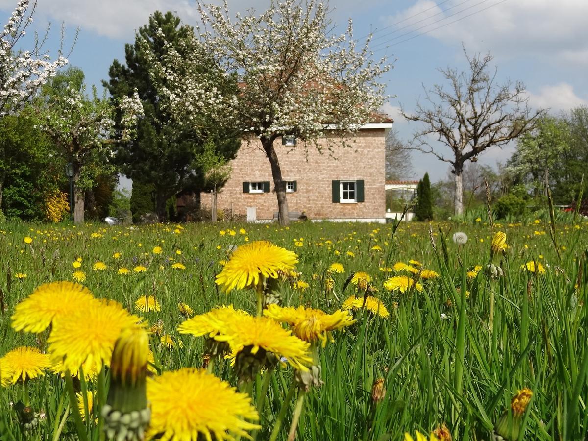 Landhaus Loewenzahn Unteregg Esterno foto
