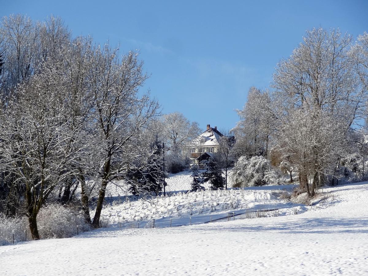 Landhaus Loewenzahn Unteregg Esterno foto